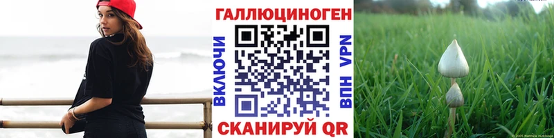Галлюциногенные грибы Psilocybe  Козловка 